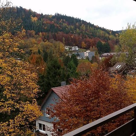 باد ويلباد Bergblick Ferienwohnung Schwarzwald الغرفة الصورة