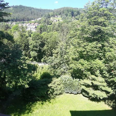 باد ويلباد Bergblick Ferienwohnung Schwarzwald المظهر الخارجي الصورة