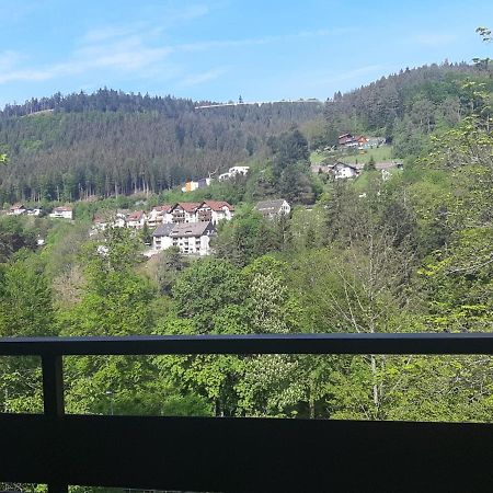 باد ويلباد Bergblick Ferienwohnung Schwarzwald المظهر الخارجي الصورة