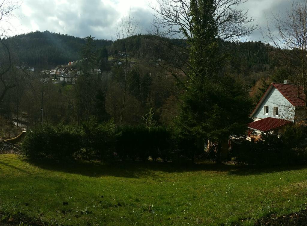 باد ويلباد Bergblick Ferienwohnung Schwarzwald المظهر الخارجي الصورة