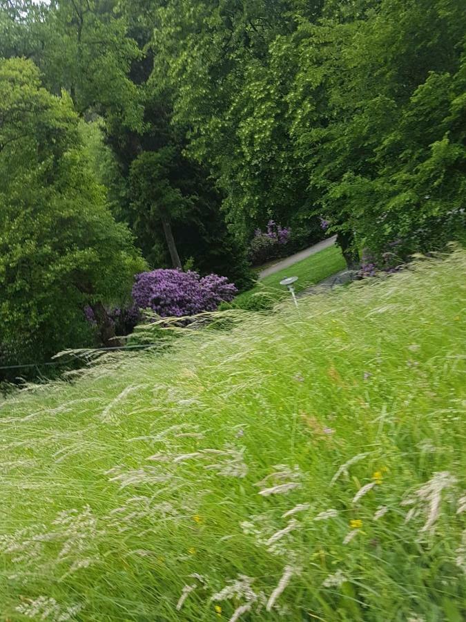 باد ويلباد Bergblick Ferienwohnung Schwarzwald المظهر الخارجي الصورة