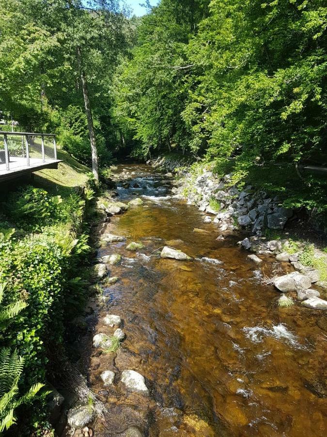 باد ويلباد Bergblick Ferienwohnung Schwarzwald المظهر الخارجي الصورة